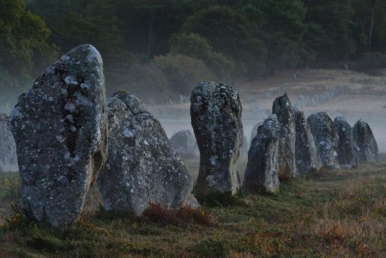 91ea9418a96656c5d9a65d38a94b86d4