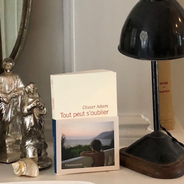 Tout peut s'oublier 
Olivier Adam
Flammarion